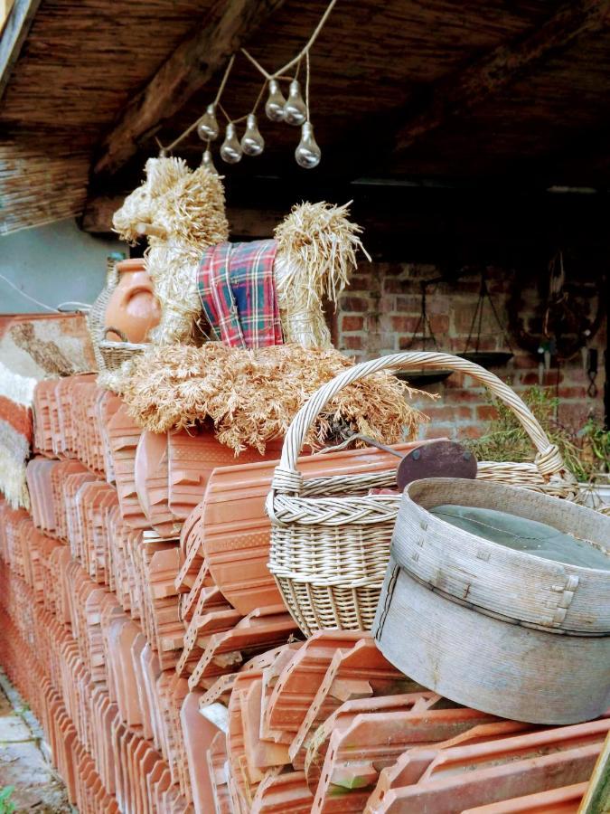 Отель Mives Vendeghaz Pogany Экстерьер фото