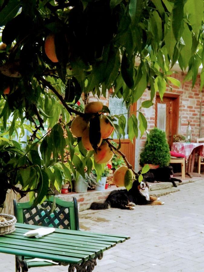 Отель Mives Vendeghaz Pogany Экстерьер фото